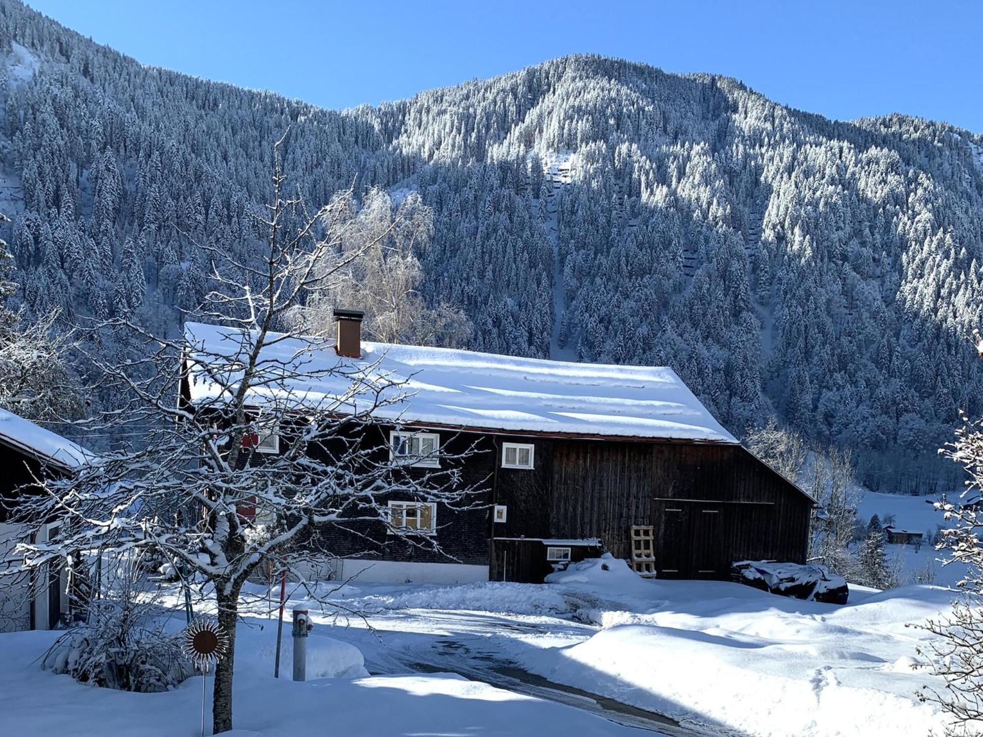 Vila Buehelhus Dalaas Exteriér fotografie